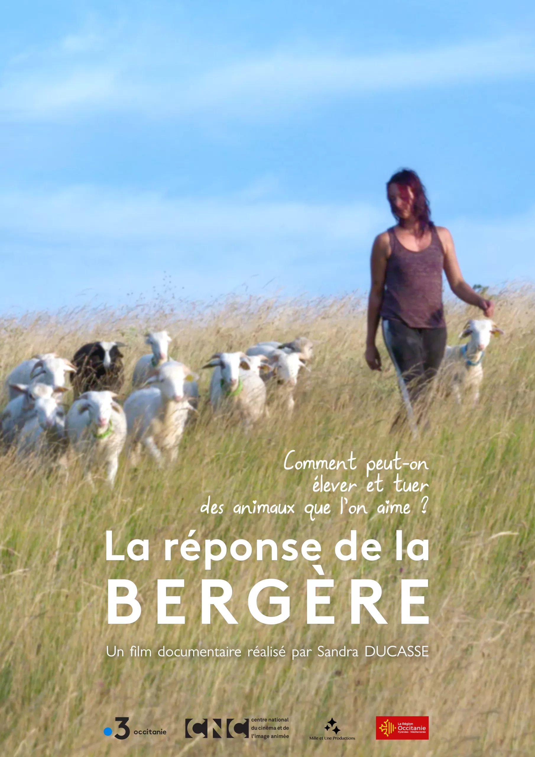 une bergere dans les champs et avec ses brebis-documentaire la reponse de la bergere 