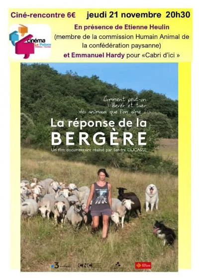 la reponse de la bergere, un patou, un troupeau de brebis et un chien